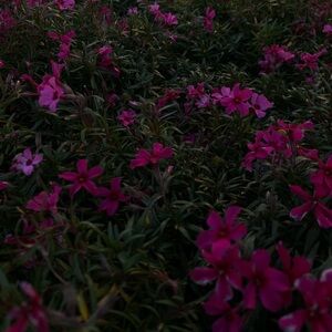 Meet your Posher, Bria